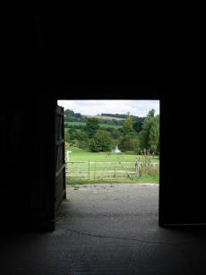 view out of Hambrook Barn door