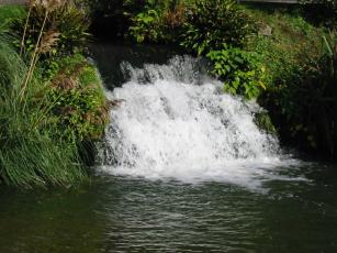 The waterfall from the wells into the Bishop's palace moat, giving an indication of the volume of water produced by the springs