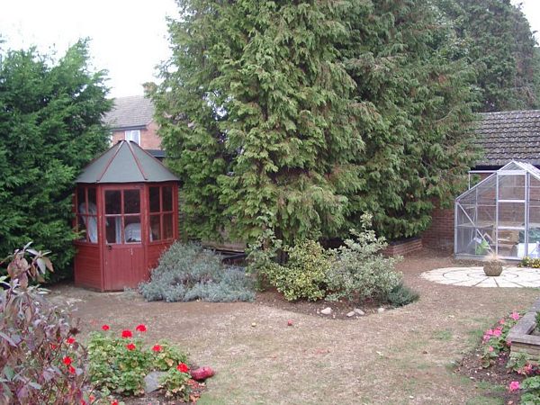 Click to see next picture