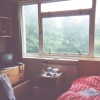 Photo of my room (80Kb)
