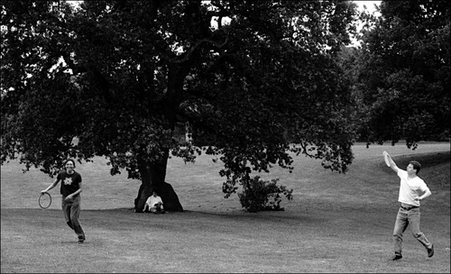 Singleton Park, August 2006 (F3 50/2 Orwopan 125)